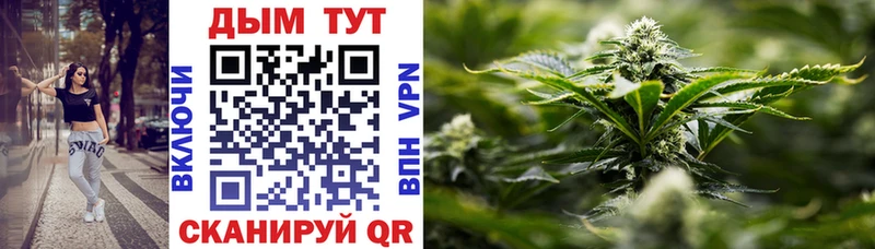 Где найти наркотики Будённовск COCAIN  Альфа ПВП  Канабис  Мефедрон 