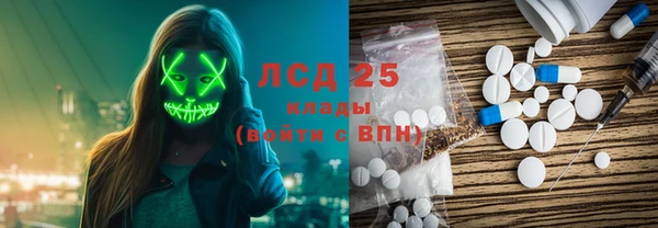 сатива Беломорск