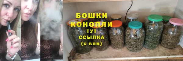прущие грибы Белоозёрский