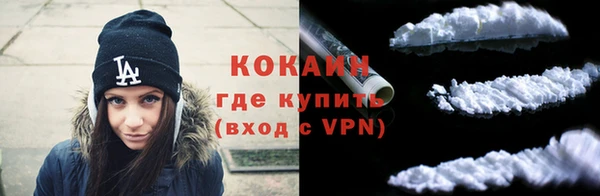 прущие грибы Белоозёрский