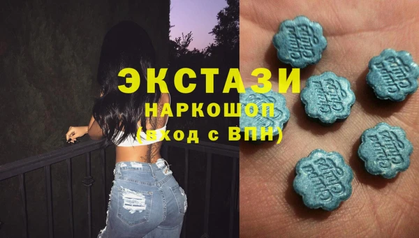 сатива Беломорск