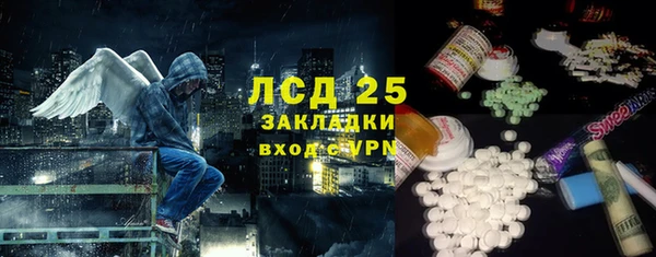 прущие грибы Белоозёрский