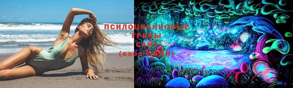 дмт Белокуриха