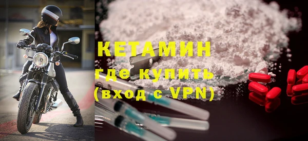 сатива Беломорск