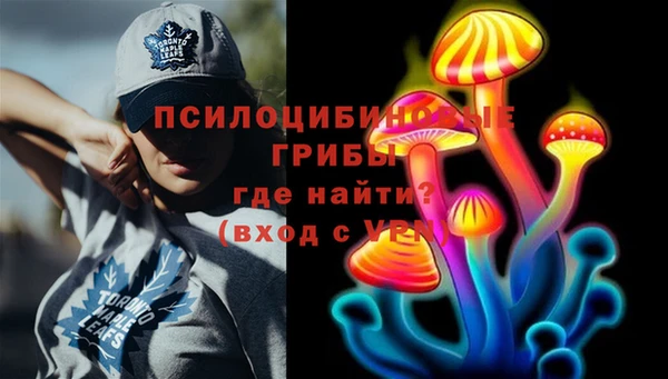 прущие грибы Белоозёрский