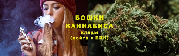 дмт Белокуриха