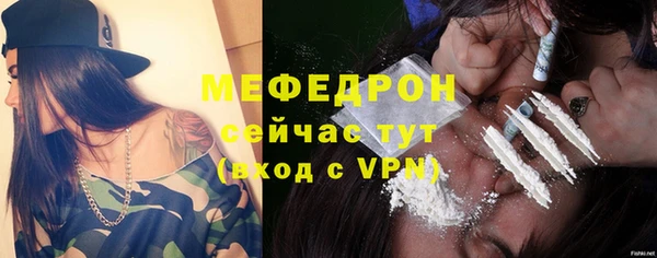 сатива Беломорск